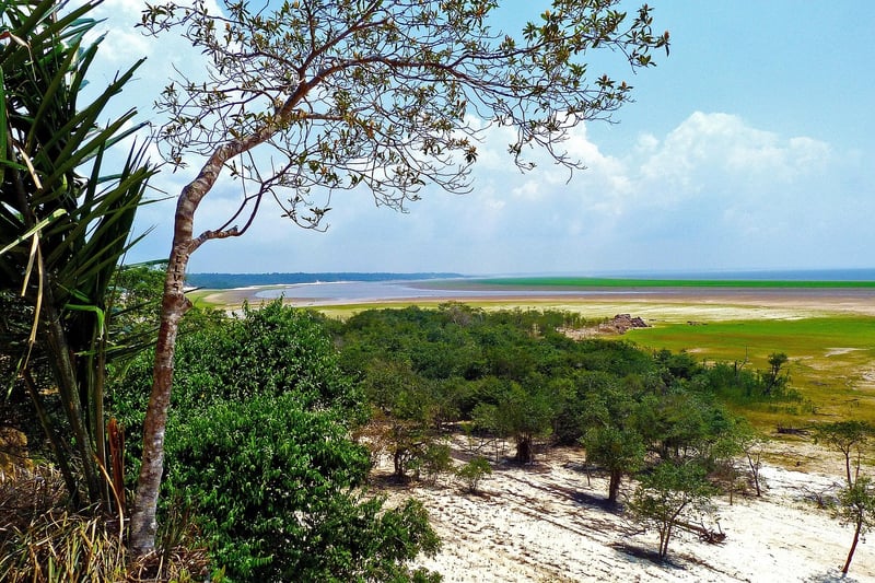 Amazon Rainforest Expedition