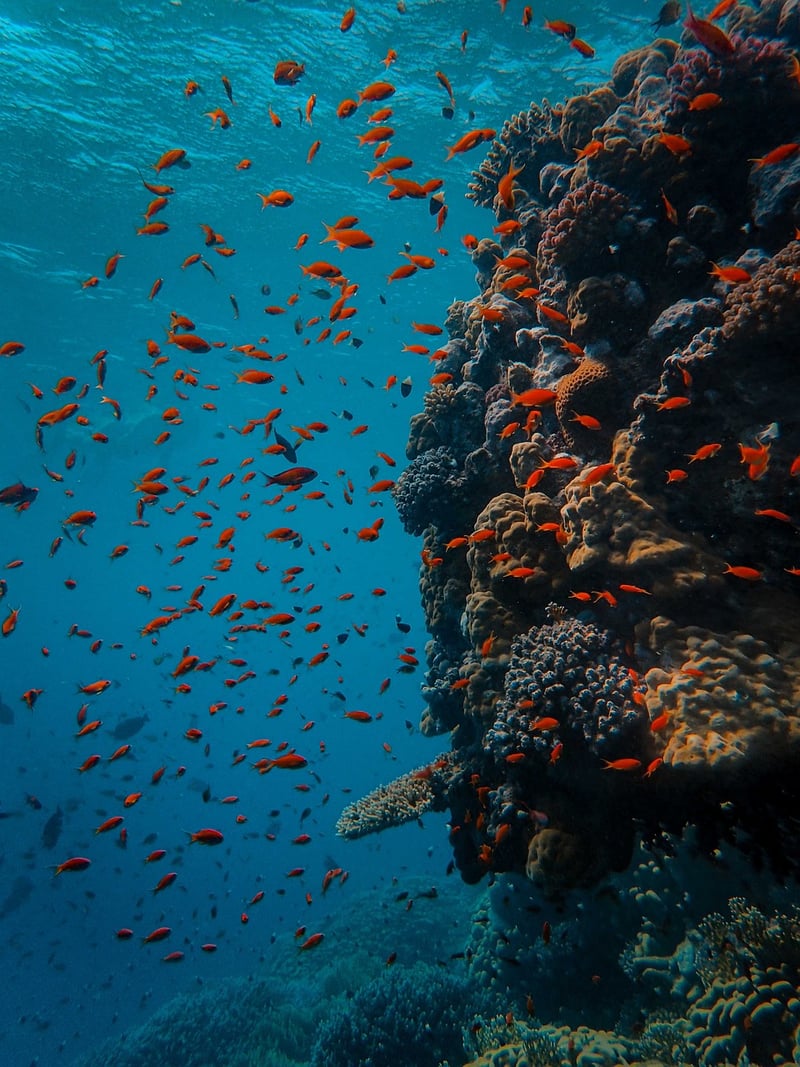 Blue Hole Belize Diving