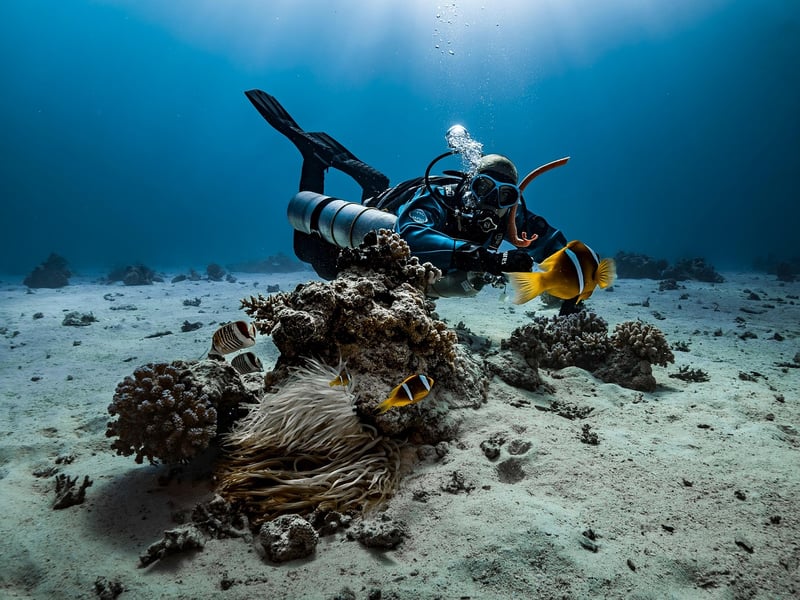 Galapagos Islands Diving