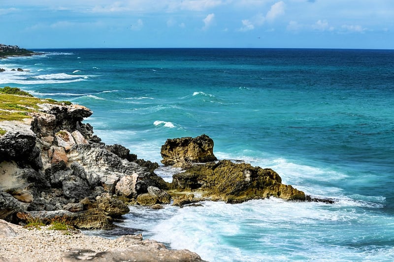 Galapagos Islands Wildlife Tour